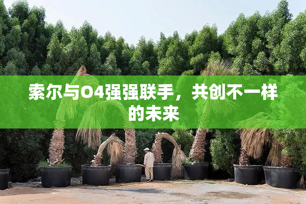 索尔与O4强强联手，共创不一样的未来