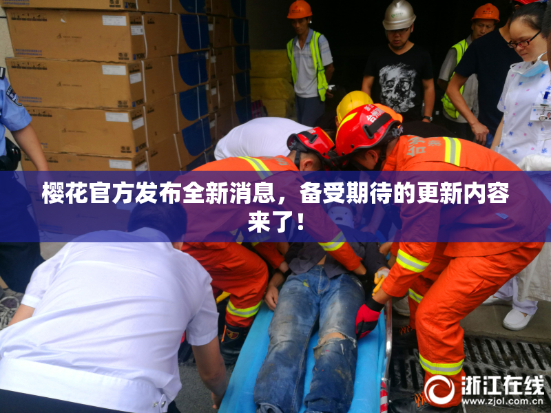 樱花官方发布全新消息，备受期待的更新内容来了！