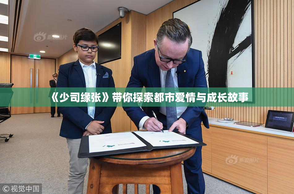 《少司缘张》带你探索都市爱情与成长故事
