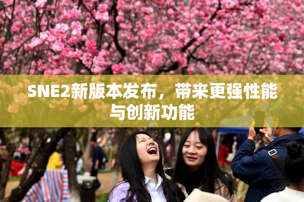 SNE2新版本发布，带来更强性能与创新功能