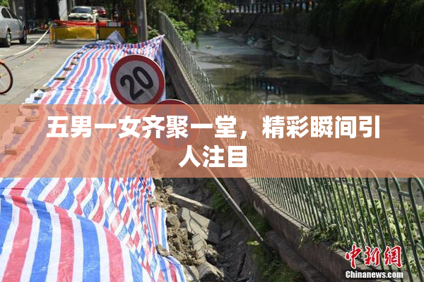 五男一女齐聚一堂，精彩瞬间引人注目
