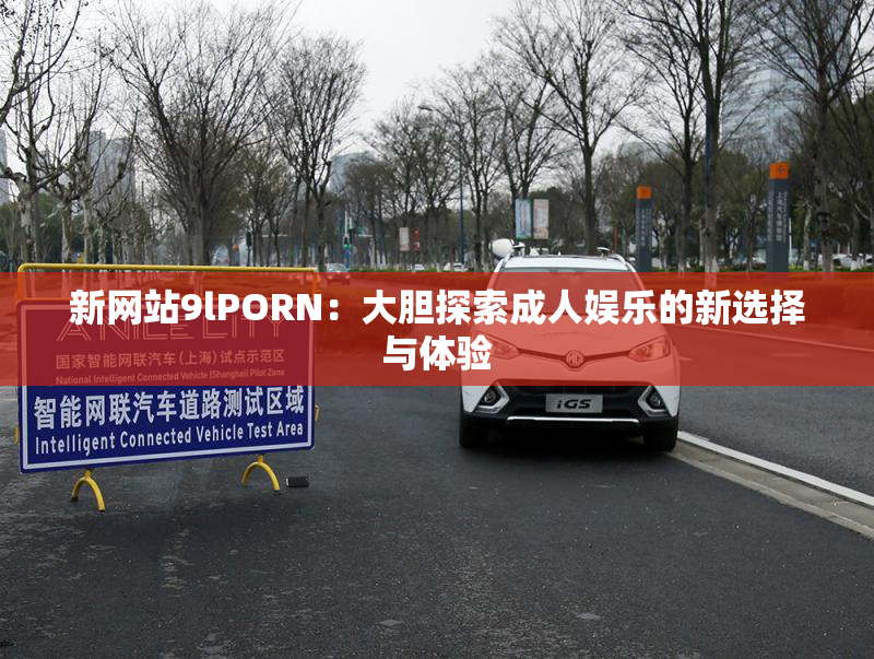 新网站9lPORN：大胆探索成人娱乐的新选择与体验