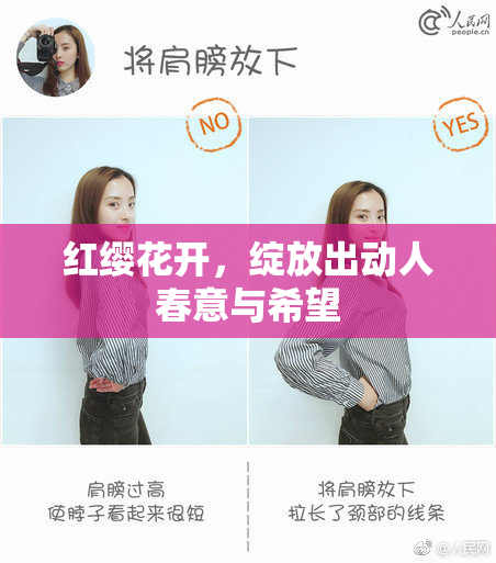 红缨花开，绽放出动人春意与希望