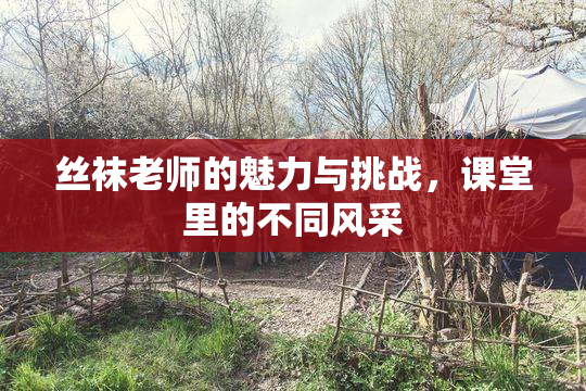丝袜老师的魅力与挑战，课堂里的不同风采