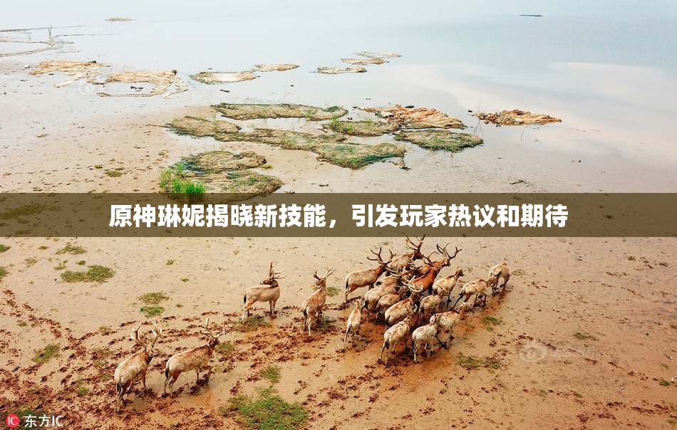 原神琳妮揭晓新技能，引发玩家热议和期待