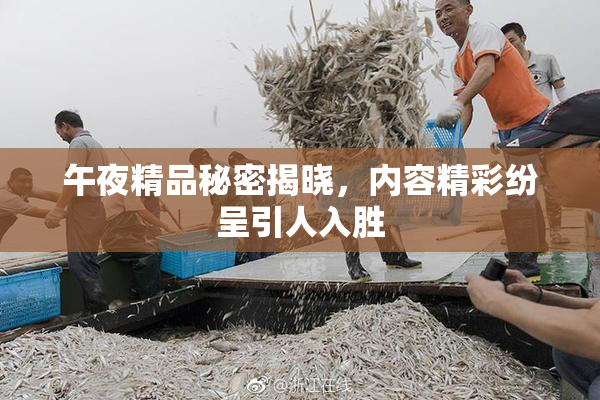 午夜精品秘密揭晓，内容精彩纷呈引人入胜