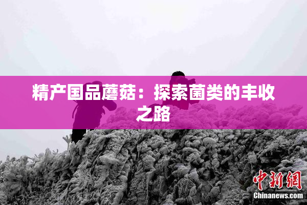 精产国品蘑菇：探索菌类的丰收之路