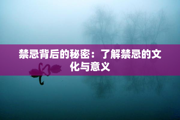 禁忌背后的秘密：了解禁忌的文化与意义