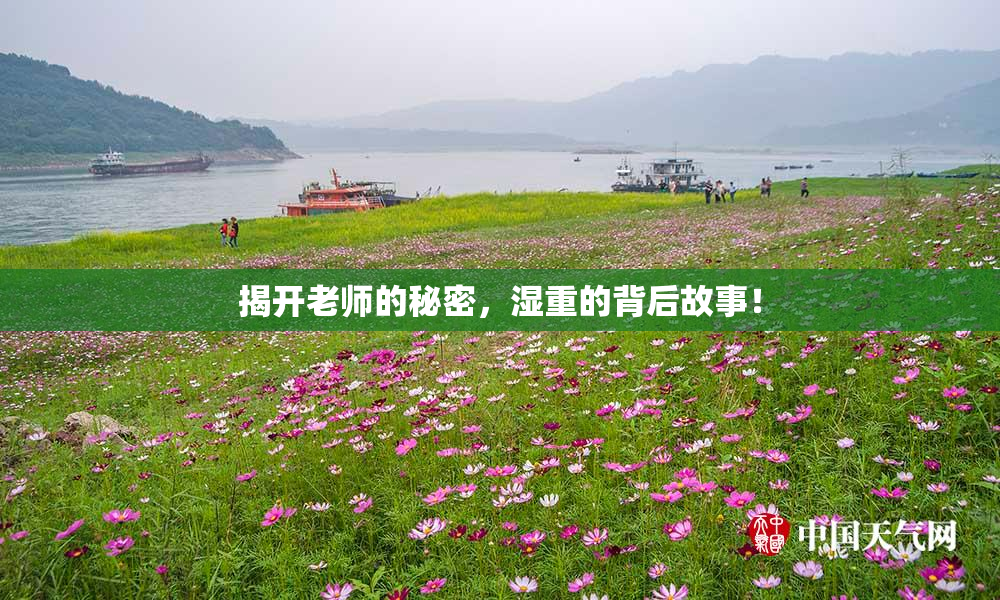 揭开老师的秘密，湿重的背后故事！