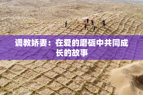 调教娇妻：在爱的磨砺中共同成长的故事