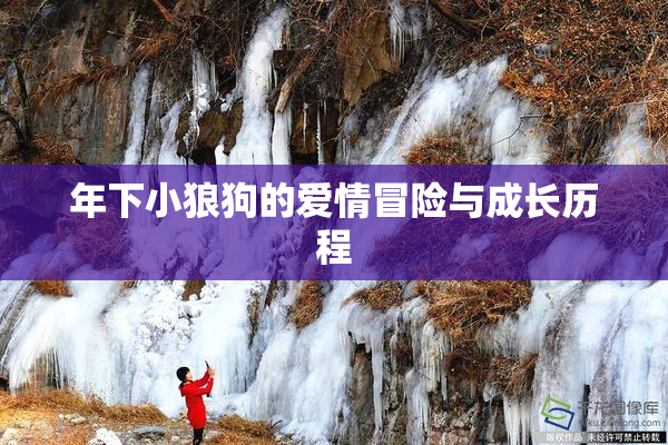年下小狼狗的爱情冒险与成长历程