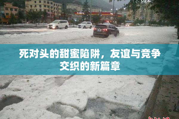 死对头的甜蜜陷阱，友谊与竞争交织的新篇章