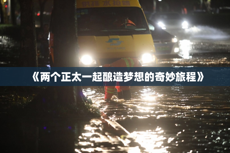 《两个正太一起酿造梦想的奇妙旅程》