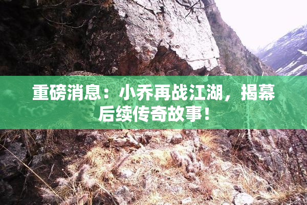 重磅消息：小乔再战江湖，揭幕后续传奇故事！