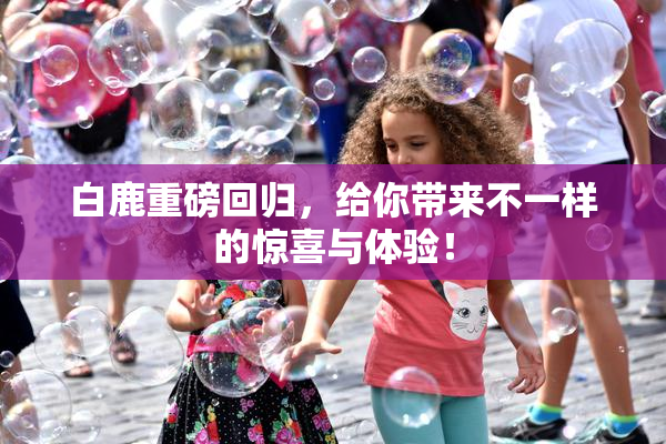 白鹿重磅回归，给你带来不一样的惊喜与体验！