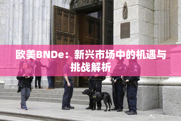 欧美BNDe：新兴市场中的机遇与挑战解析