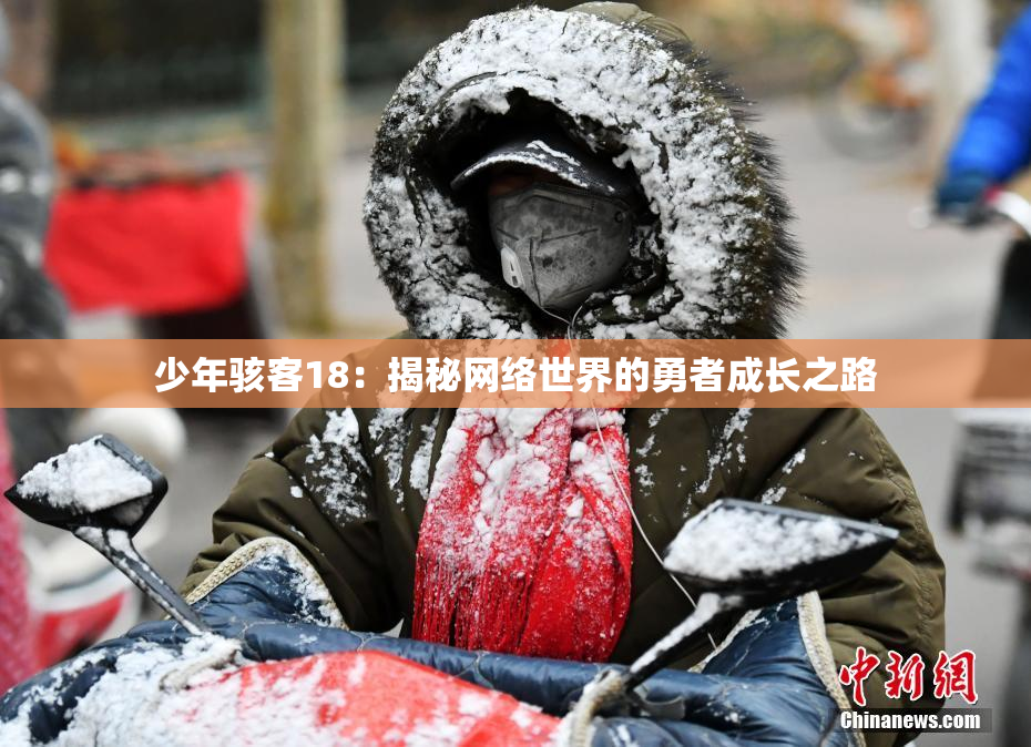 少年骇客18：揭秘网络世界的勇者成长之路