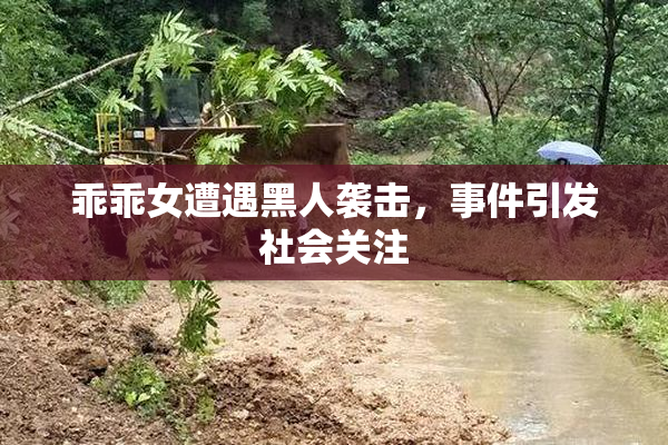 乖乖女遭遇黑人袭击，事件引发社会关注