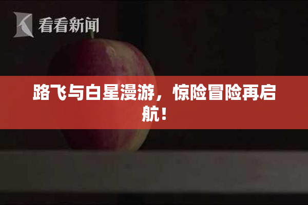 路飞与白星漫游，惊险冒险再启航！