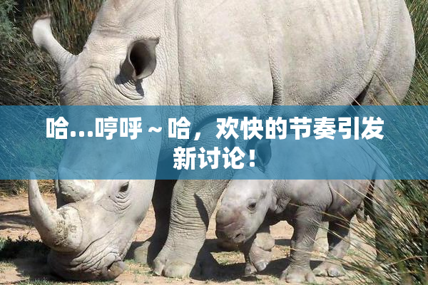 哈…哼呼～哈，欢快的节奏引发新讨论！