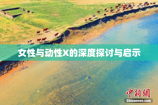 女性与动性X的深度探讨与启示