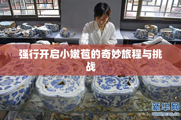 强行开启小嫩苞的奇妙旅程与挑战
