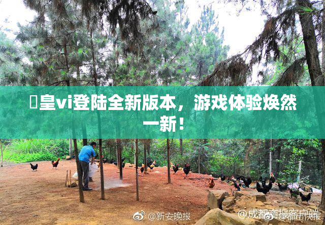嘼皇vi登陆全新版本，游戏体验焕然一新！