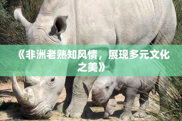 《非洲老熟知风情，展现多元文化之美》