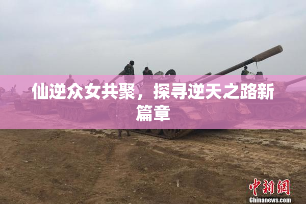 仙逆众女共聚，探寻逆天之路新篇章