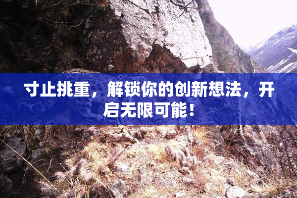 寸止挑重，解锁你的创新想法，开启无限可能！