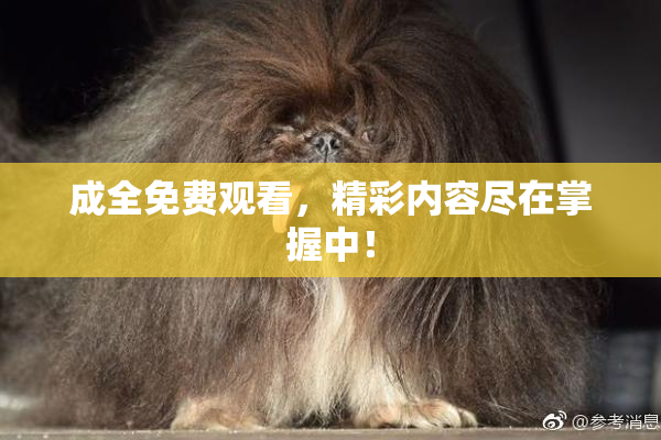 成全免费观看，精彩内容尽在掌握中！