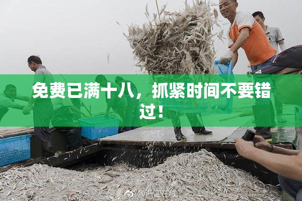 免费已满十八，抓紧时间不要错过！