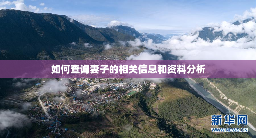 如何查询妻子的相关信息和资料分析