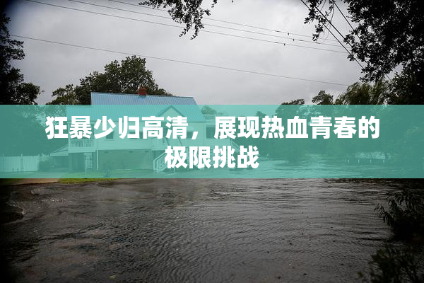 狂暴少归高清，展现热血青春的极限挑战