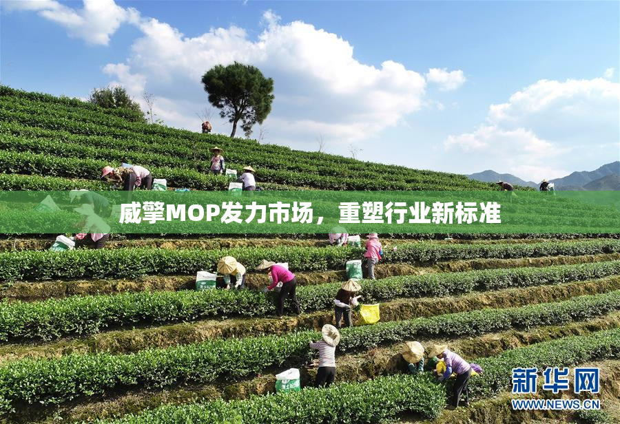 威擎MOP发力市场，重塑行业新标准
