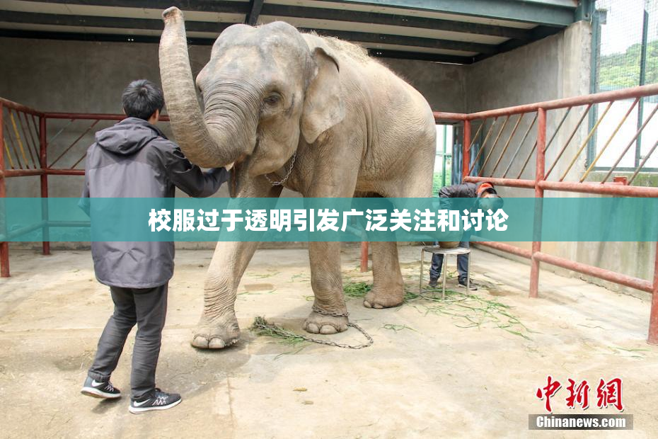 校服过于透明引发广泛关注和讨论