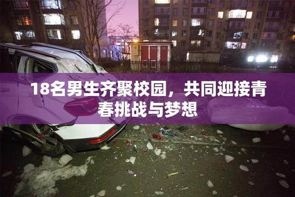 18名男生齐聚校园，共同迎接青春挑战与梦想