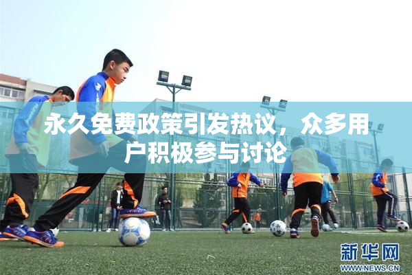 永久免费政策引发热议，众多用户积极参与讨论
