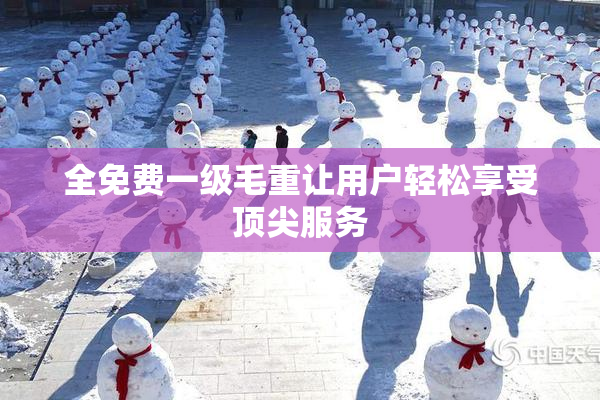 全免费一级毛重让用户轻松享受顶尖服务