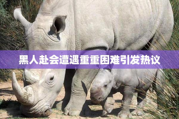 黑人赴会遭遇重重困难引发热议