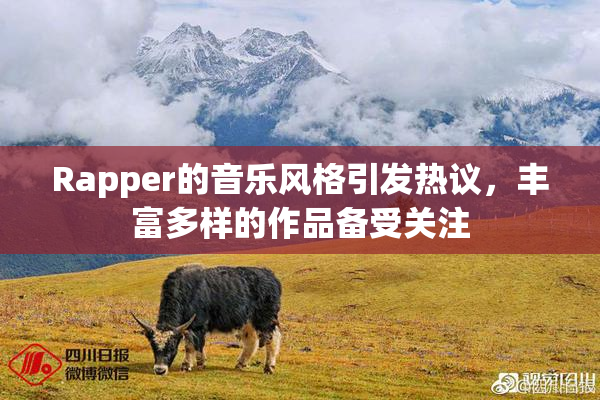 Rapper的音乐风格引发热议，丰富多样的作品备受关注