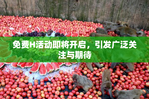 免费H活动即将开启，引发广泛关注与期待