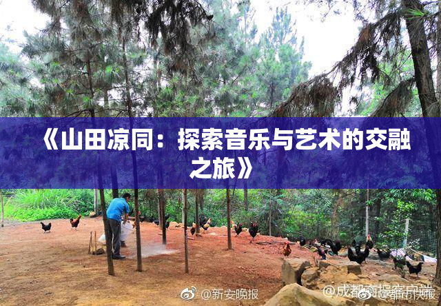 《山田凉同：探索音乐与艺术的交融之旅》