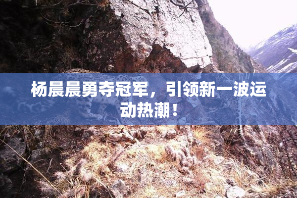 杨晨晨勇夺冠军，引领新一波运动热潮！