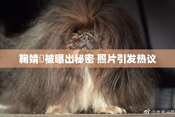 鞠婧祎被曝出秘密 照片引发热议