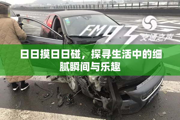 日日摸日日碰，探寻生活中的细腻瞬间与乐趣