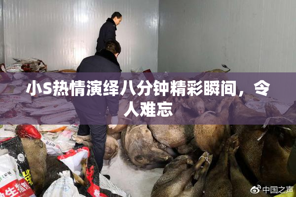 小S热情演绎八分钟精彩瞬间，令人难忘