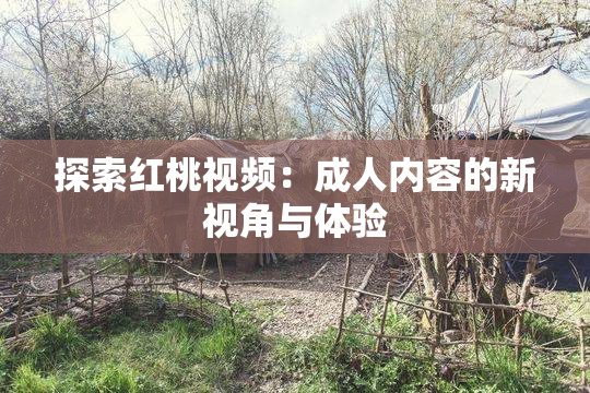 探索红桃视频：成人内容的新视角与体验