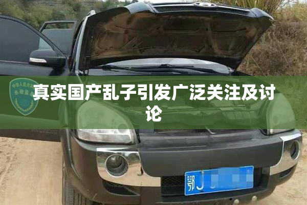 真实国产乱子引发广泛关注及讨论