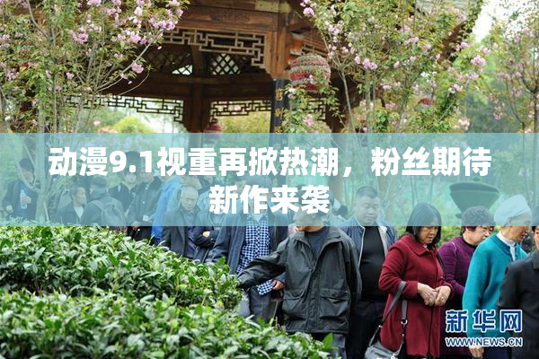 动漫9.1视重再掀热潮，粉丝期待新作来袭